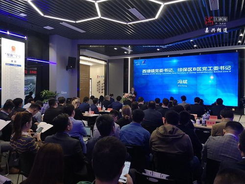 跨國合作再深化 中歐企業(yè)家齊聚嘉善西塘話發(fā)展