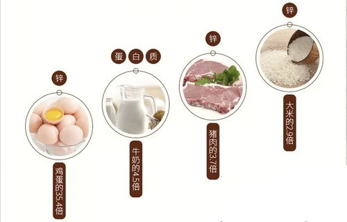 夏季的嘴巴旅程